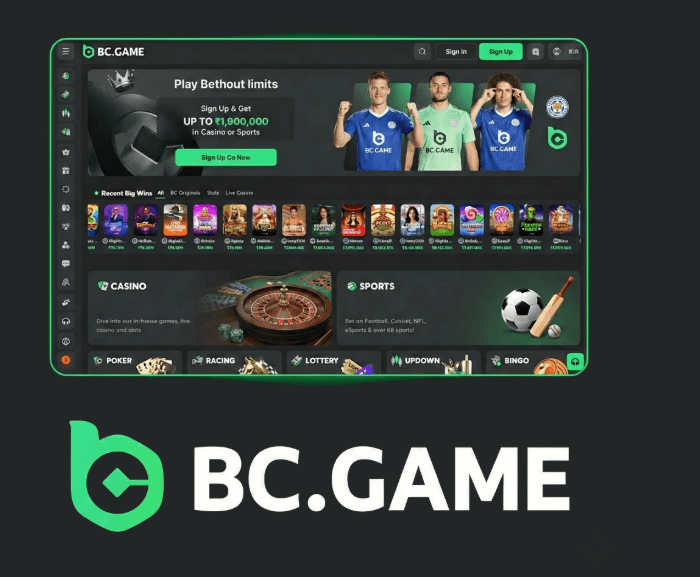Step-by-Step Guide to BC.Game Registration Process -214802744